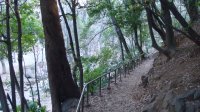 DSC00311.JPG